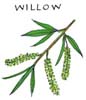 ウイロー